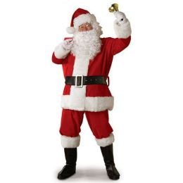 Plus size santa costume